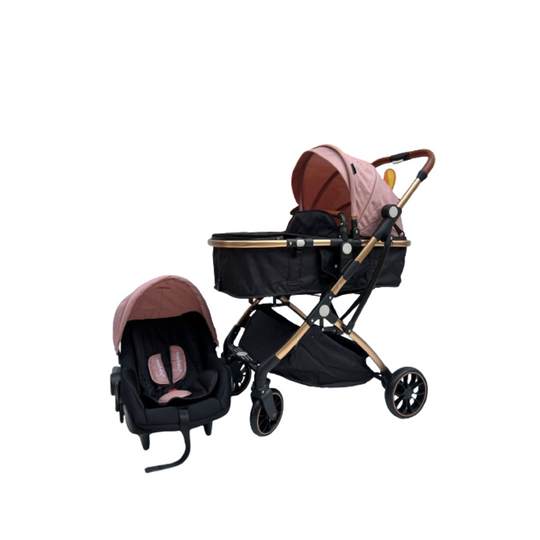 Coche Moises Small 3 en 1 Maxibaby