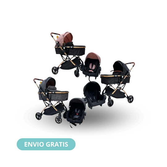 Coche Moises Small 3 en 1 Maxibaby