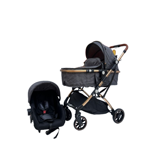 Coche Moises Small 3 en 1 Gris Maxibaby