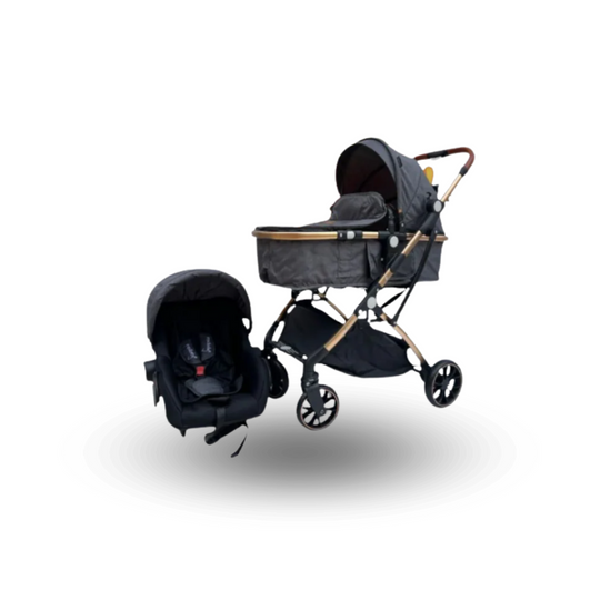 Coche Para Bebé Moises Small 3 en 1 Maxibaby Gris