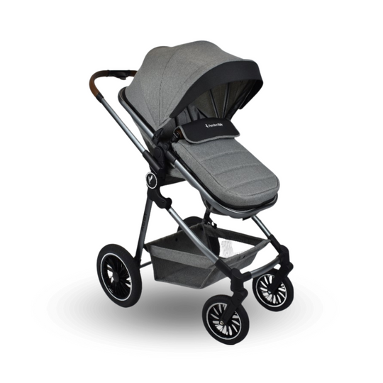 Coche Para Bebé Moises de Lujo Abby Premium Baby Gris