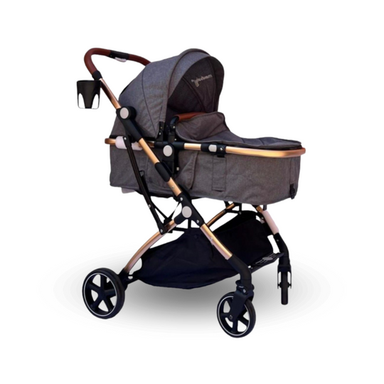 Coche Para Bebé Moises Small Maxibaby Gris