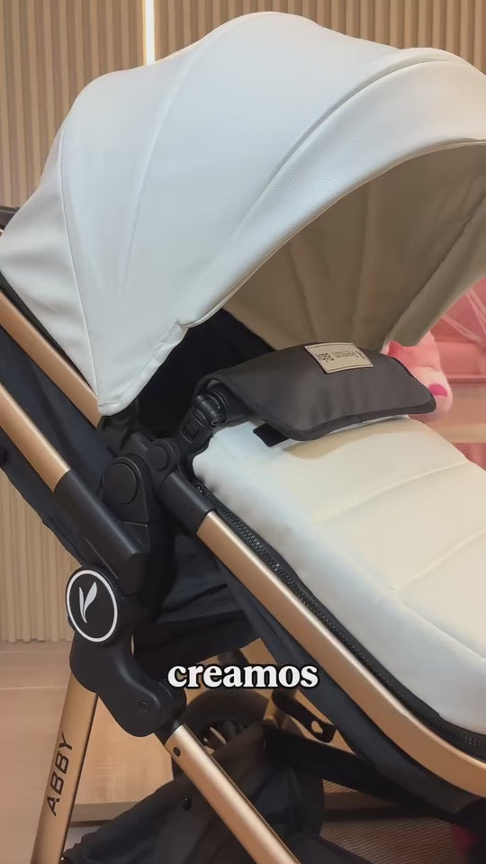 Combo Newborn Coche Moises 3 En 1 Abby Premium Baby + Cuna Colecho Cid + Complementos