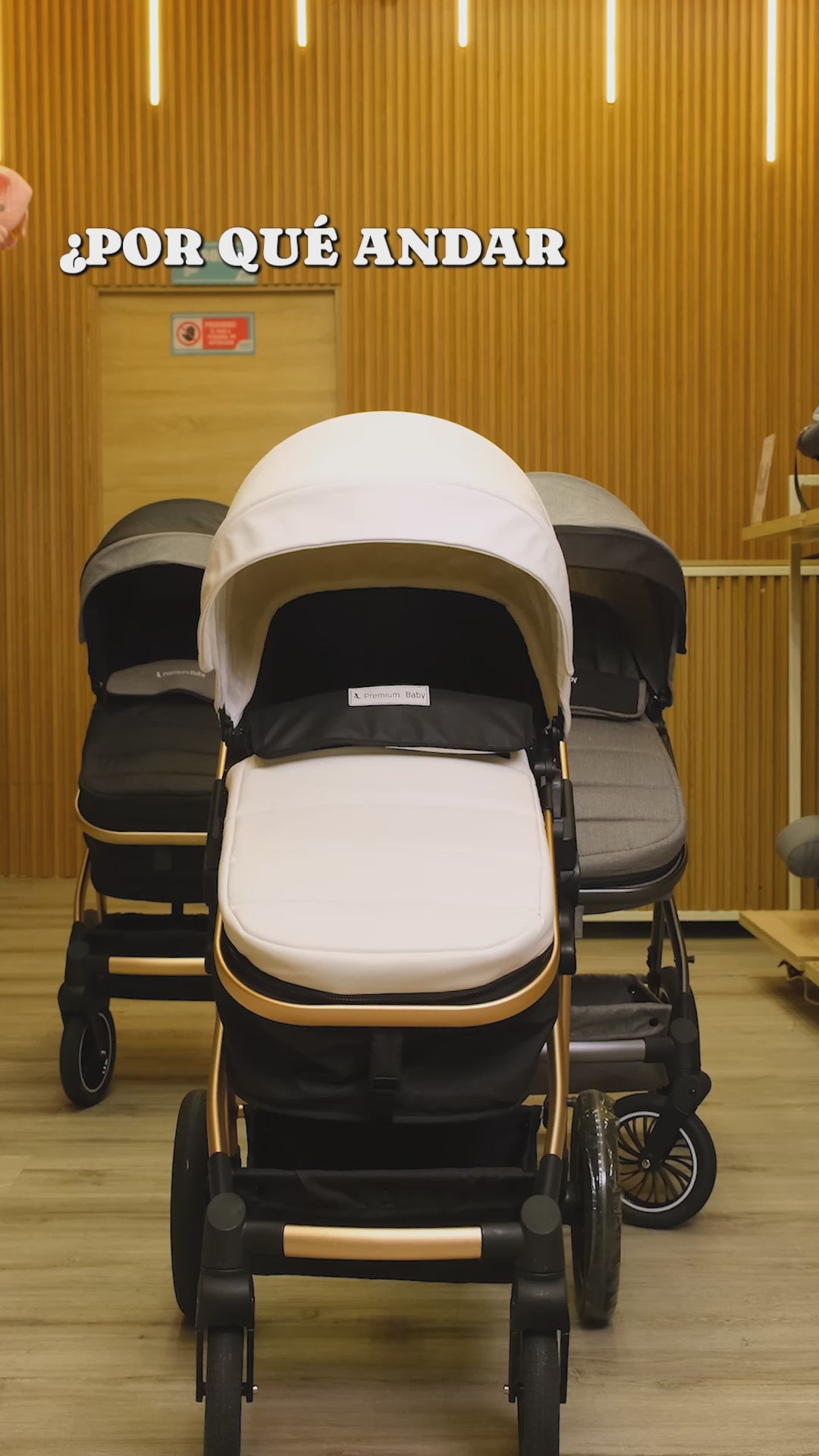 Coche Para Bebé Moises de Lujo Abby 3 en 1 Premium Baby Gris
